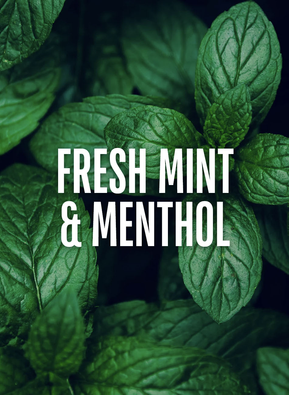 Mint Thickening Shampoo