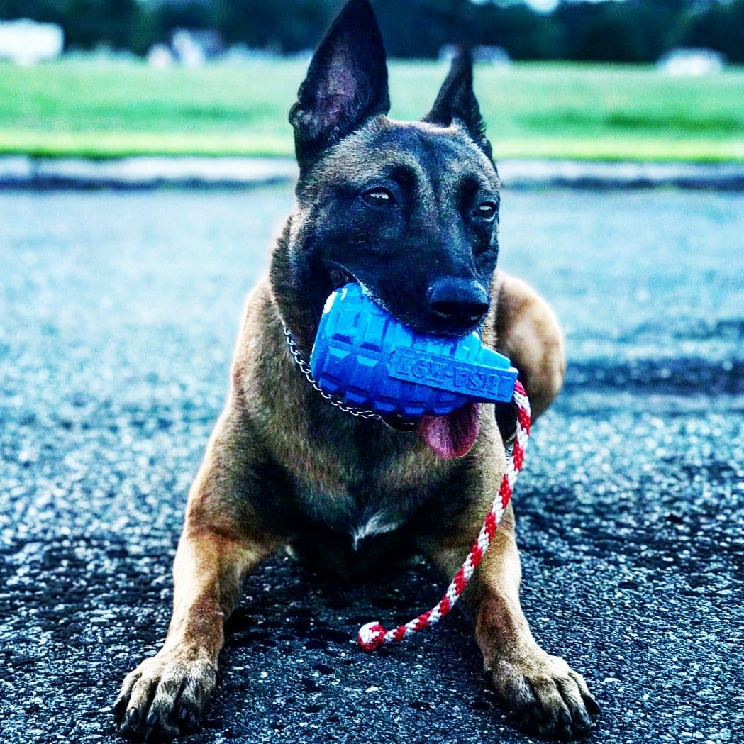 USA-K9 Grenade Durable Rubber Chew Toy, Treat Dispenser, Reward Toy, Tug Toy, and Retrieving Toy