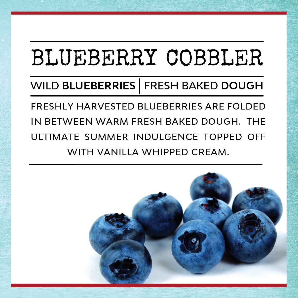 STFU! I'm Reading - Infused with "Escaping Reality" Scent: Blueberry Cobbler