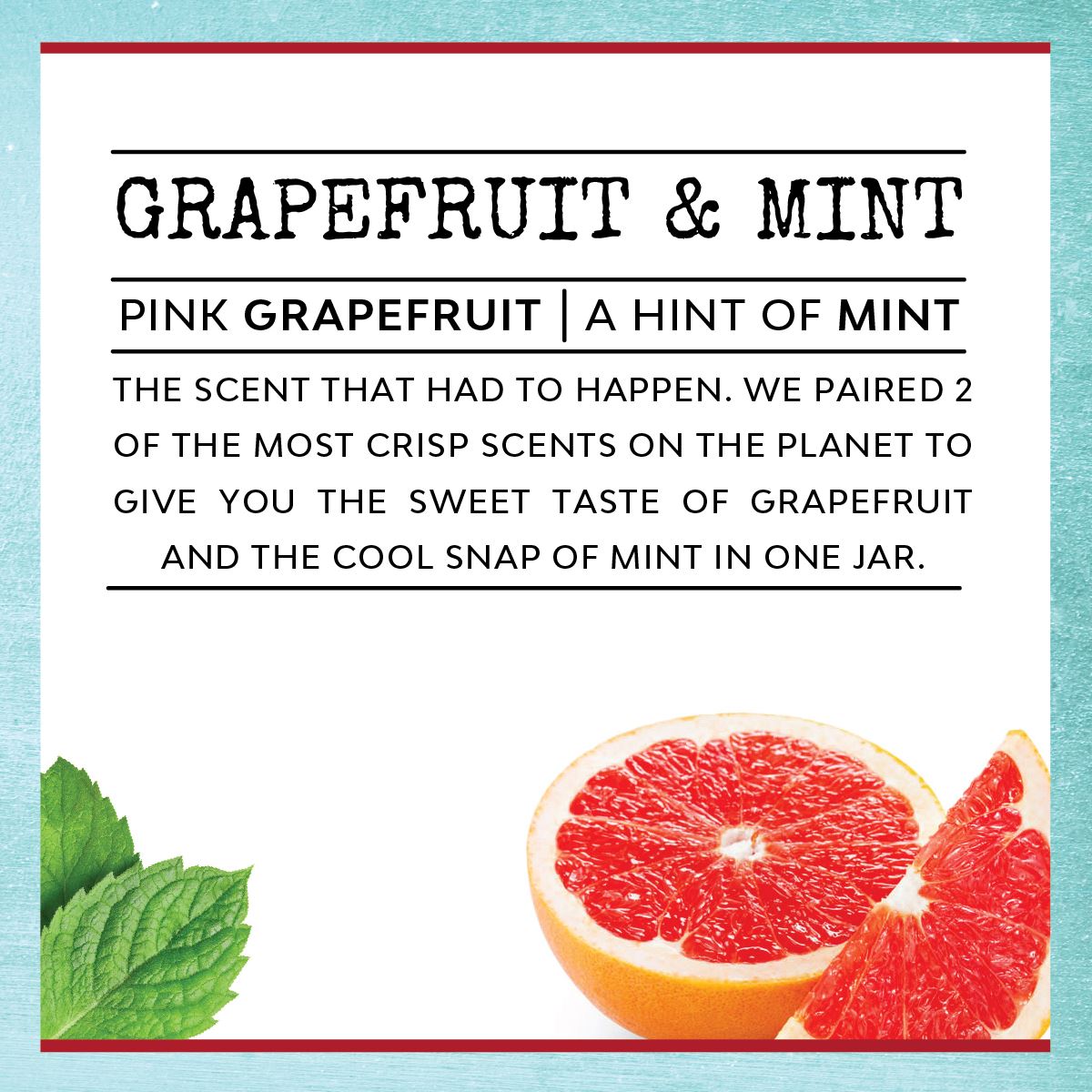 Group Text Shit Talking - Infused with "Screenshots" Scent: Grapefruit & Mint