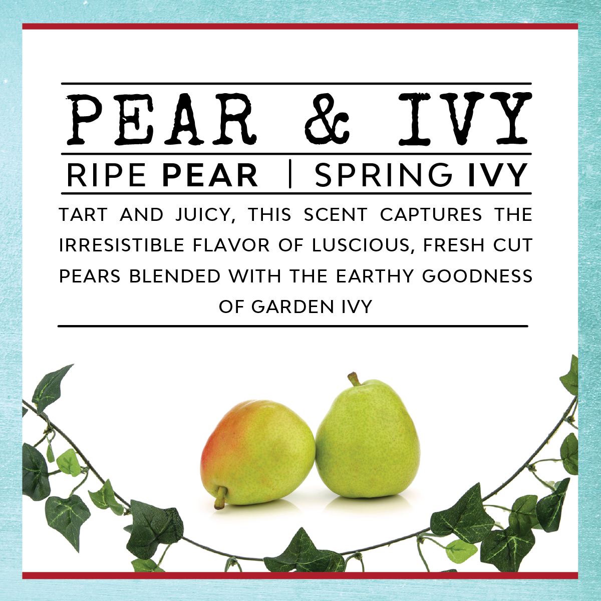 I'm Still Speaking - Infused With "Manterrupting" Scent Pear & Ivy