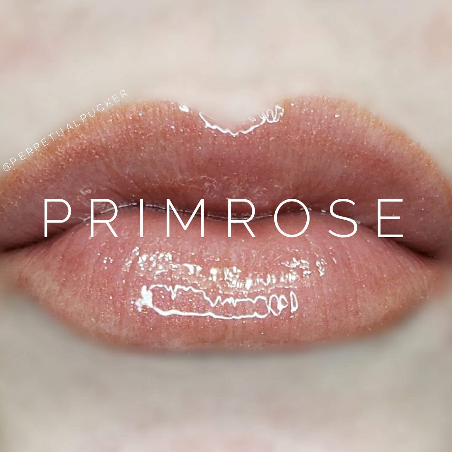 PRIMROSE GLOSS - LipSense